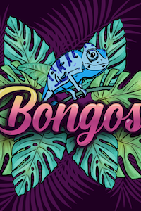231020 (2) : Bongos