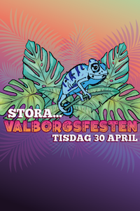 240430 (2) : Stora Valborgsfesten x Bongos Living Room Takeover!