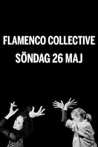 240526 : Flamenco Collective